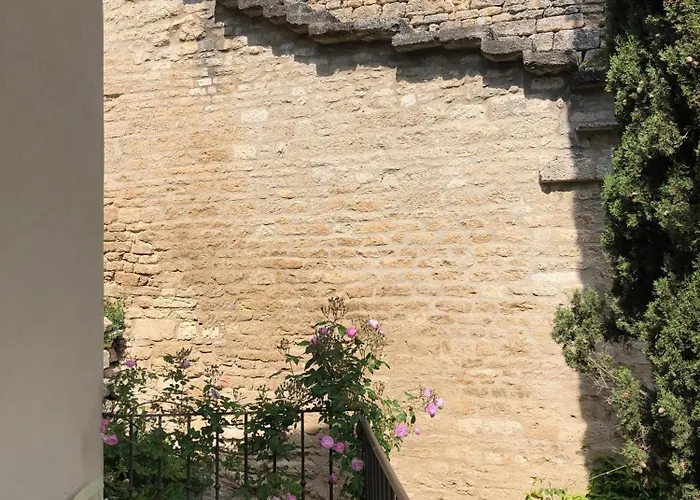 Campanina